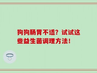 狗狗肠胃不适？试试这些益生菌调理方法！