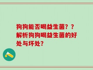 狗狗能否喝益生菌？？解析狗狗喝益生菌的好处与坏处？