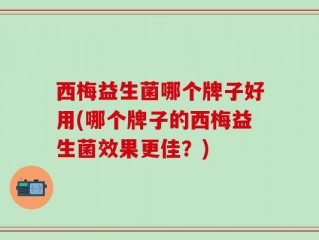 西梅益生菌哪个牌子好用(哪个牌子的西梅益生菌效果更佳？)
