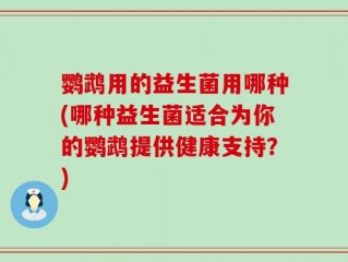 鹦鹉用的益生菌用哪种(哪种益生菌适合为你的鹦鹉提供健康支持？)