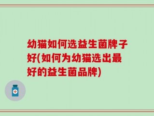 幼猫如何选益生菌牌子好(如何为幼猫选出最好的益生菌品牌)