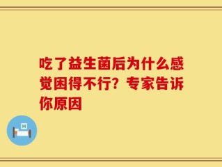 吃了益生菌后为什么感觉困得不行？专家告诉你原因