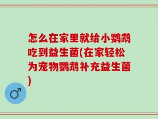 怎么在家里就给小鹦鹉吃到益生菌(在家轻松为宠物鹦鹉补充益生菌)