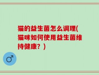 猫的益生菌怎么调理(猫咪如何使用益生菌维持健康？)