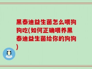 黑泰迪益生菌怎么喂狗狗吃(如何正确喂养黑泰迪益生菌给你的狗狗)