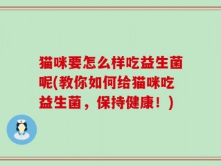 猫咪要怎么样吃益生菌呢(教你如何给猫咪吃益生菌，保持健康！)