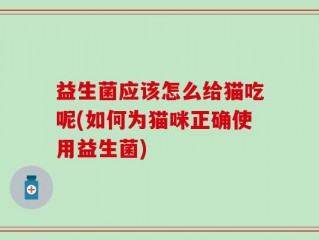 益生菌应该怎么给猫吃呢(如何为猫咪正确使用益生菌)