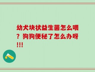 幼犬块状益生菌怎么喂？狗狗便秘了怎么办呀!!!