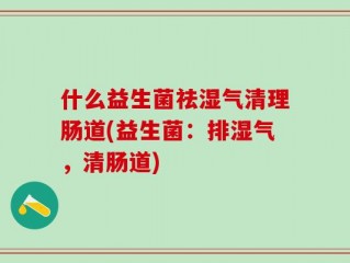 什么益生菌祛湿气清理肠道(益生菌：排湿气，清肠道)