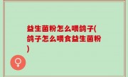 益生菌粉怎么喂鸽子(鸽子怎么喂食益生菌粉)