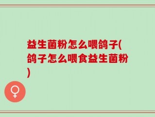 益生菌粉怎么喂鸽子(鸽子怎么喂食益生菌粉)
