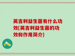 英吉利益生菌有什么功效(英吉利益生菌的功效和作用简介)