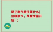 肠子胀气益生菌什么(舒缓胀气，从益生菌开始！)