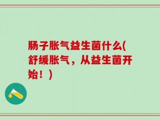肠子胀气益生菌什么(舒缓胀气，从益生菌开始！)