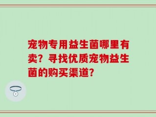 宠物专用益生菌哪里有卖？寻找优质宠物益生菌的购买渠道？