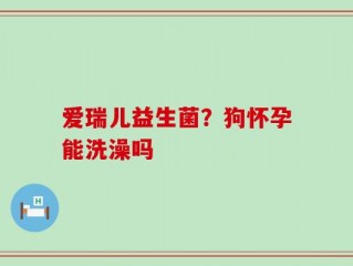 爱瑞儿益生菌？狗怀孕能洗澡吗