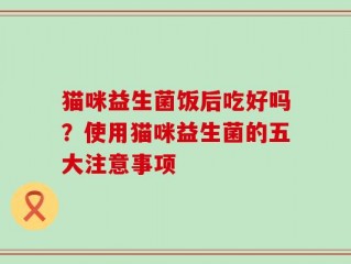 猫咪益生菌饭后吃好吗？使用猫咪益生菌的五大注意事项