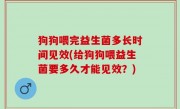 狗狗喂完益生菌多长时间见效(给狗狗喂益生菌要多久才能见效？)