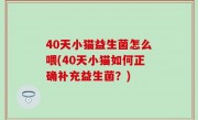 40天小猫益生菌怎么喂(40天小猫如何正确补充益生菌？)