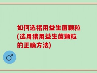 如何选猪用益生菌颗粒(选用猪用益生菌颗粒的正确方法)