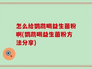 怎么给鹦鹉喝益生菌粉啊(鹦鹉喝益生菌粉方法分享)
