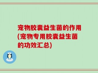 宠物胶囊益生菌的作用(宠物专用胶囊益生菌的功效汇总)