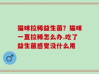 猫咪拉稀益生菌？猫咪一直拉稀怎么办.吃了益生菌感觉没什么用