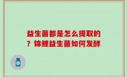 益生菌都是怎么提取的？锦鲤益生菌如何发酵