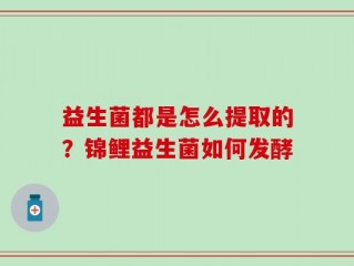 益生菌都是怎么提取的？锦鲤益生菌如何发酵
