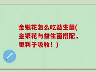 金银花怎么吃益生菌(金银花与益生菌搭配，更利于吸收！)