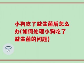 小狗吃了益生菌后怎么办(如何处理小狗吃了益生菌的问题)