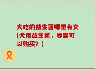犬吃的益生菌哪里有卖(犬用益生菌，哪里可以购买？)