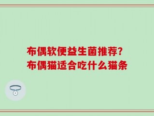 布偶软便益生菌推荐？布偶猫适合吃什么猫条