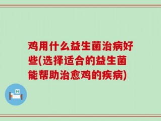 鸡用什么益生菌治病好些(选择适合的益生菌能帮助治愈鸡的疾病)