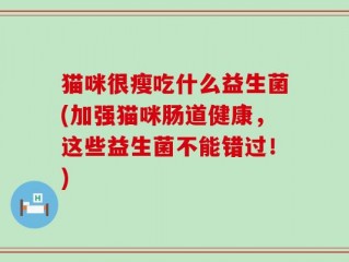 猫咪很瘦吃什么益生菌(加强猫咪肠道健康，这些益生菌不能错过！)