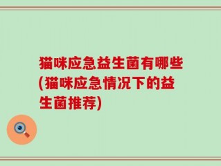 猫咪应急益生菌有哪些(猫咪应急情况下的益生菌推荐)