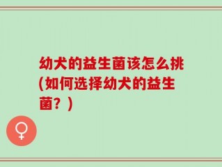 幼犬的益生菌该怎么挑(如何选择幼犬的益生菌？)