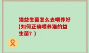 猫益生菌怎么去喂养好(如何正确喂养猫的益生菌？)