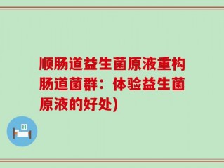 顺肠道益生菌原液重构肠道菌群：体验益生菌原液的好处)