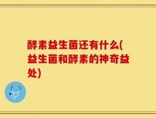 酵素益生菌还有什么(益生菌和酵素的神奇益处)