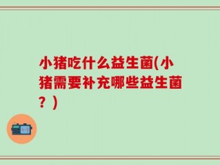 小猪吃什么益生菌(小猪需要补充哪些益生菌？)
