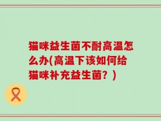 猫咪益生菌不耐高温怎么办(高温下该如何给猫咪补充益生菌？)