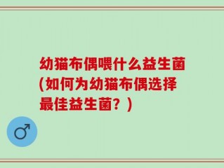 幼猫布偶喂什么益生菌(如何为幼猫布偶选择最佳益生菌？)