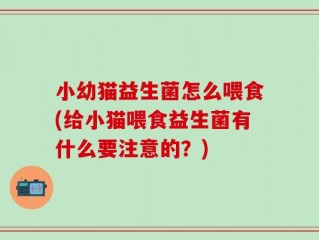 小幼猫益生菌怎么喂食(给小猫喂食益生菌有什么要注意的？)