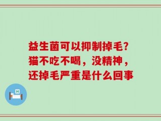 益生菌可以抑制掉毛？猫不吃不喝，没精神，还掉毛严重是什么回事