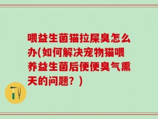 喂益生菌猫拉屎臭怎么办(如何解决宠物猫喂养益生菌后便便臭气熏天的问题？)