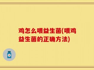 鸡怎么喂益生菌(喂鸡益生菌的正确方法)