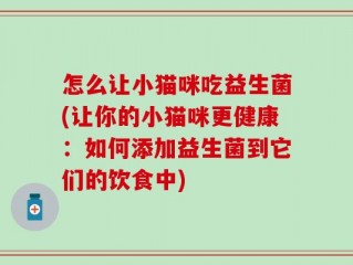 怎么让小猫咪吃益生菌(让你的小猫咪更健康：如何添加益生菌到它们的饮食中)