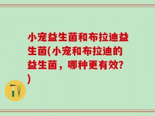 小宠益生菌和布拉迪益生菌(小宠和布拉迪的益生菌，哪种更有效？)