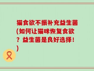 猫食欲不振补充益生菌(如何让猫咪恢复食欲？益生菌是良好选择！)